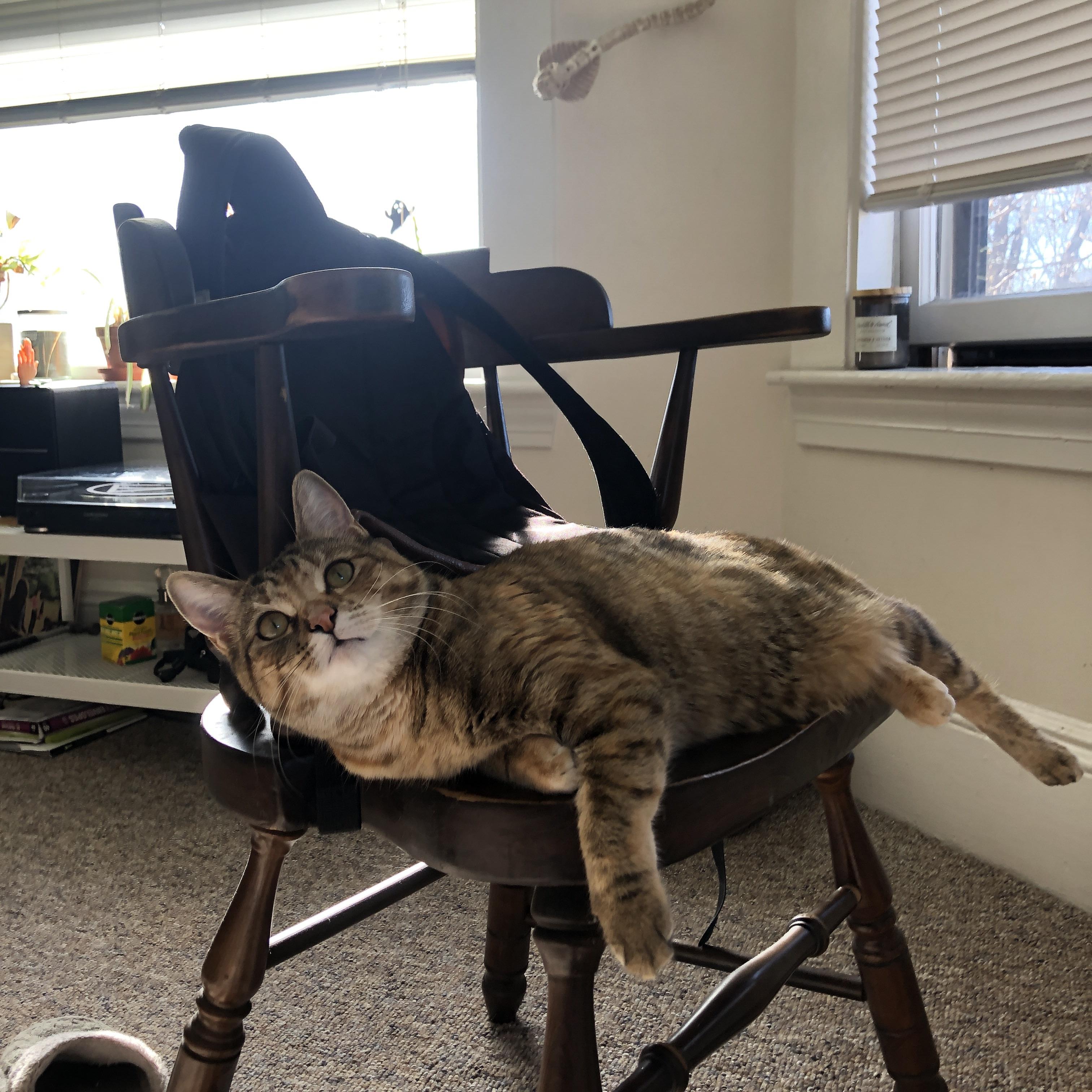 _桥牌世界系列赛:智力对决引爆精彩_,桥牌比赛现场