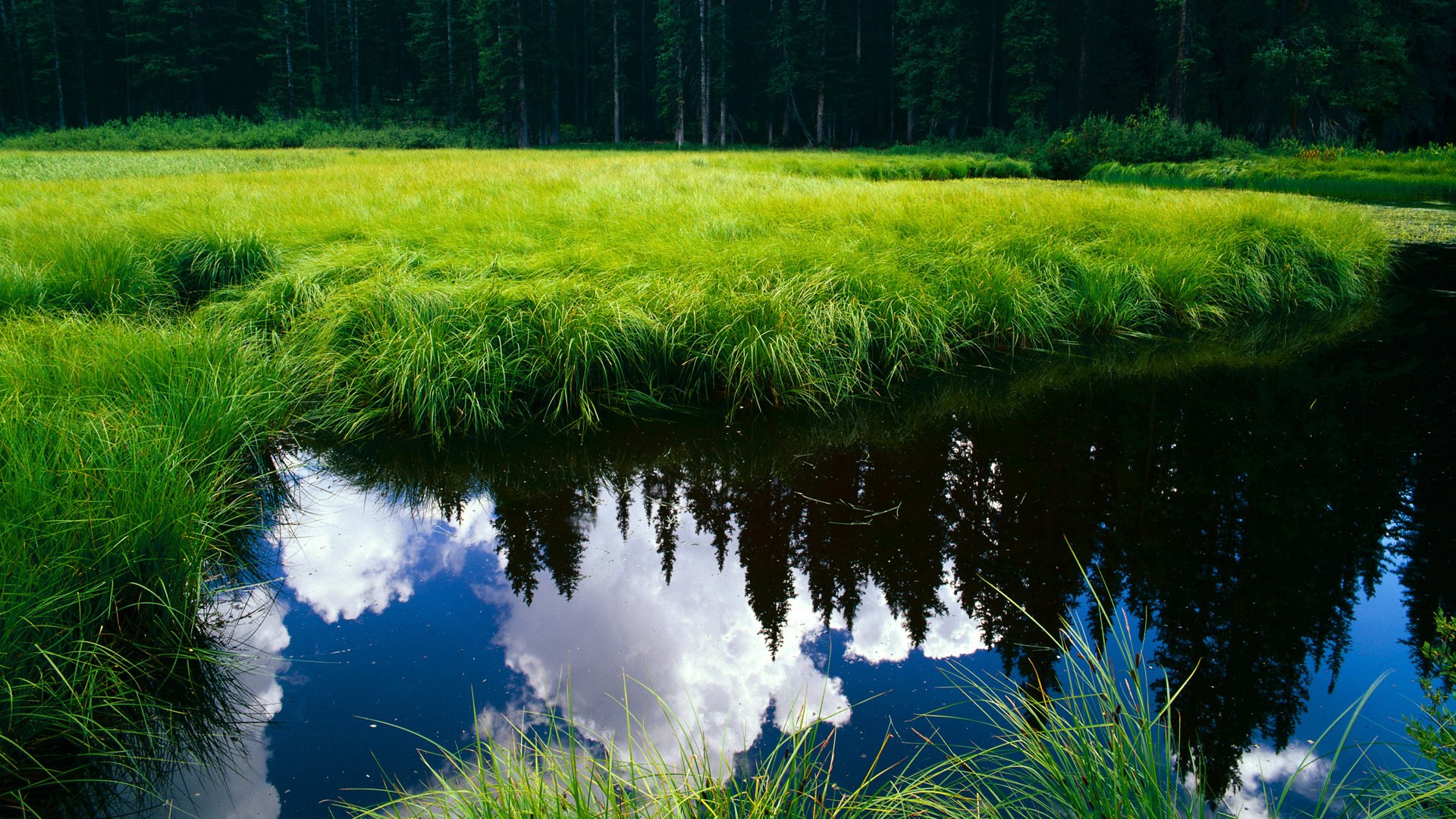 华体会在线-_新星崛起：青少年组赛事吸引众多目光_，舞蹈新星崛起