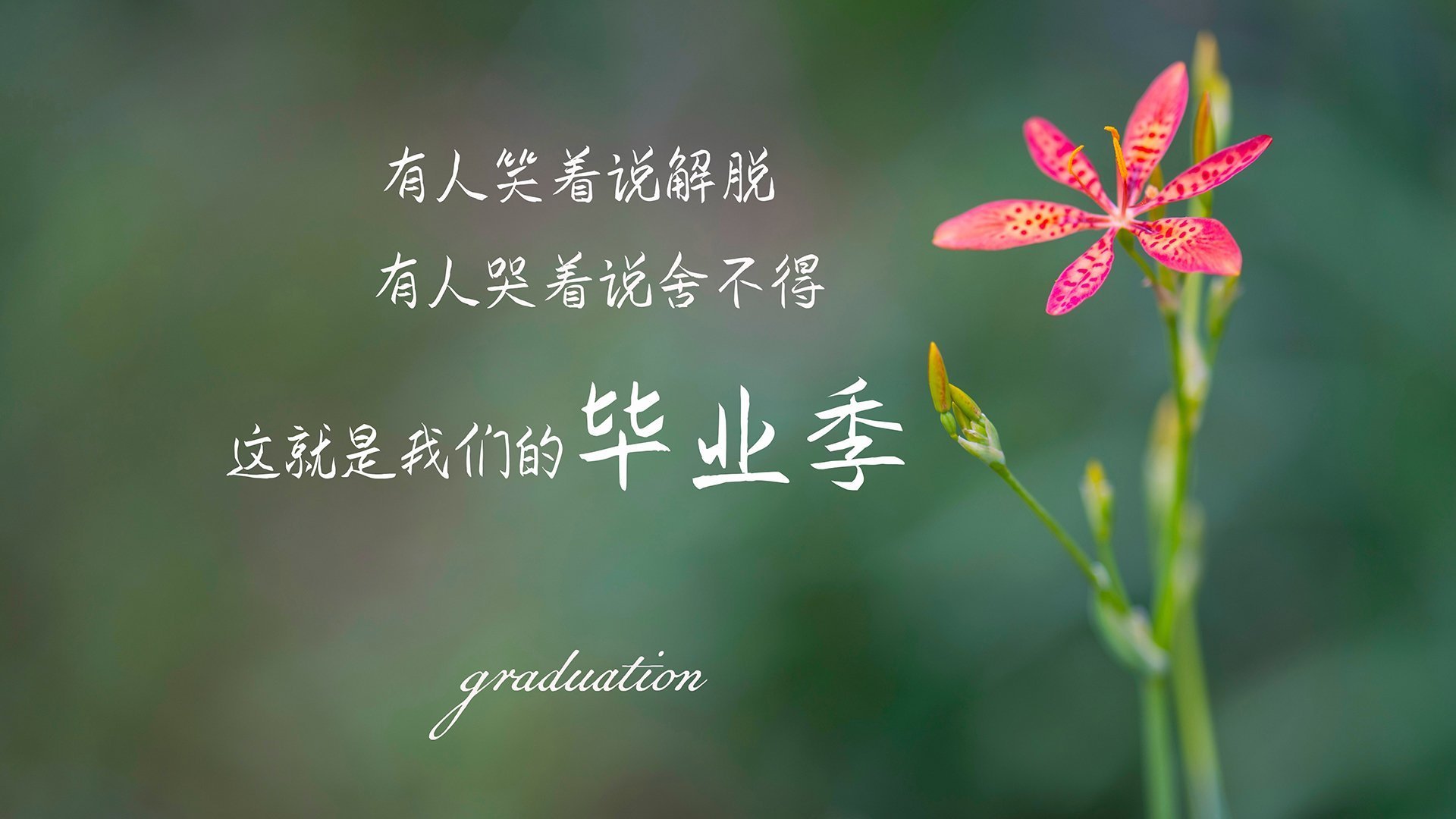 _联盟焦点:热火vs皇家具备看点_,热火vs黄蜂季后赛第七场