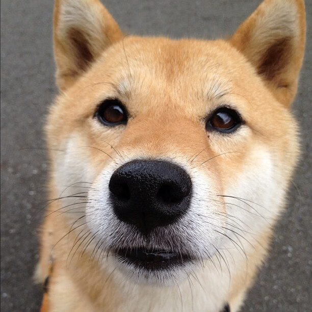 _跨界合作：体育品牌与时尚设计师联名系列_，著名体育品牌服装品牌