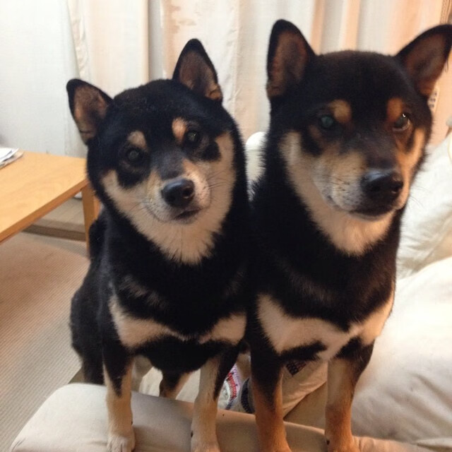 “你不了解的NBA冷知识,奇闻趣事大盘点”,nba冷知识 大全