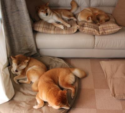 华体会hth娱乐平台-海外海钓比赛，海上争夺黄金钓点，外海海钓视频