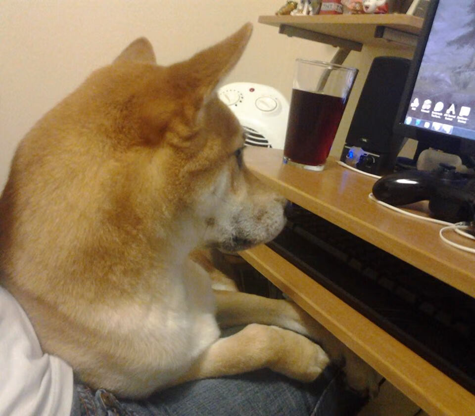 华体会手机在线-Team Liquid赛季总结发布，team liquid俱乐部