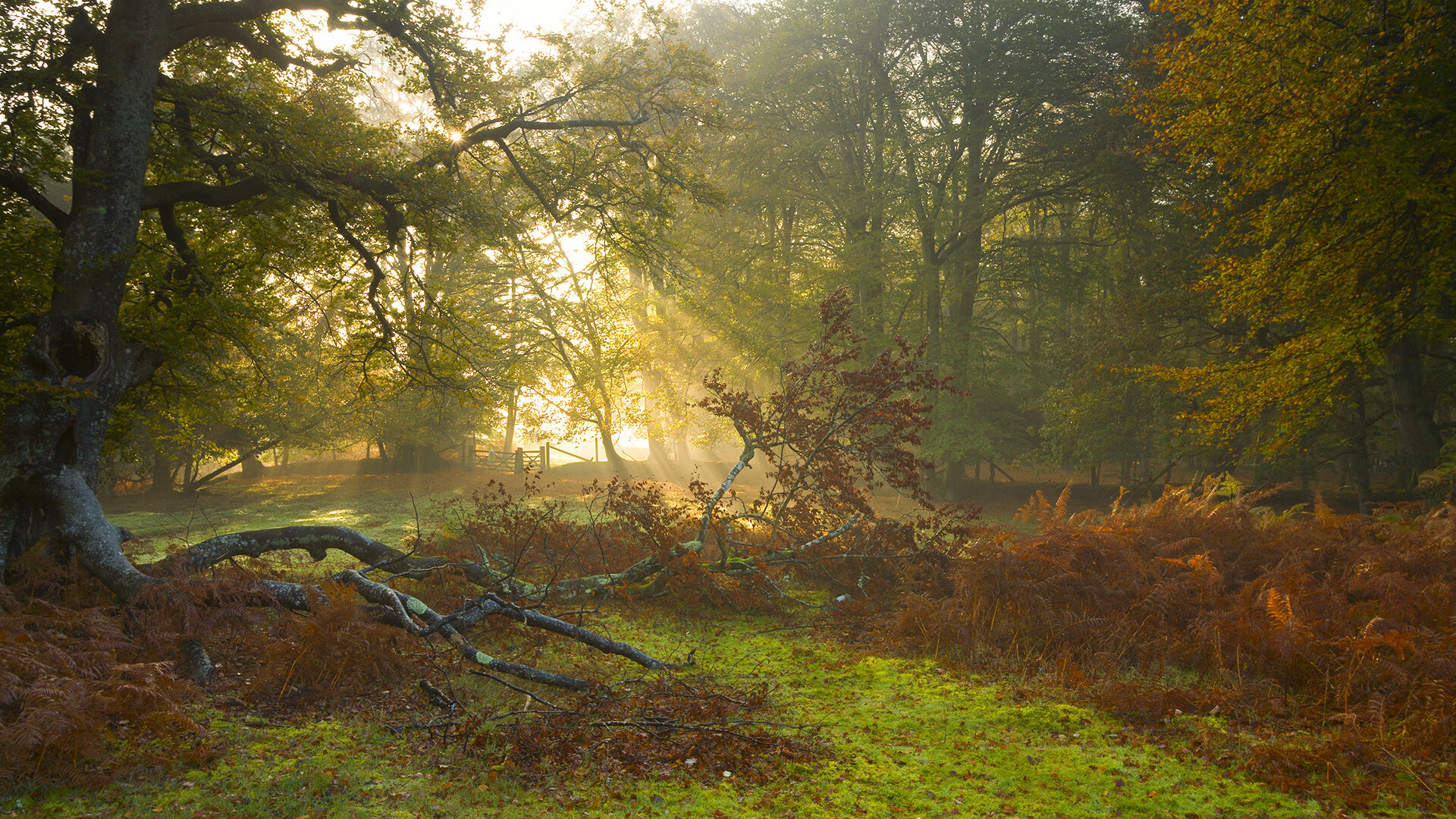 SN战队年轻选手快速成长,sn战队smlz