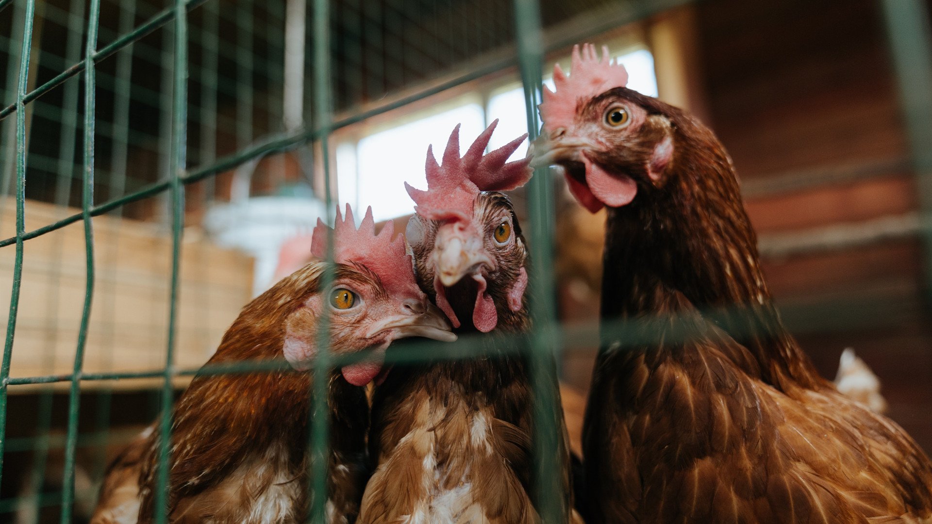 中国网球男双组合首进大满贯八强,写下历史新篇章,中国网球男单选手排名