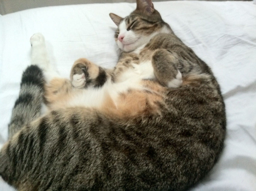 意外足球赛后球员起冲突,足球场上的意外事故