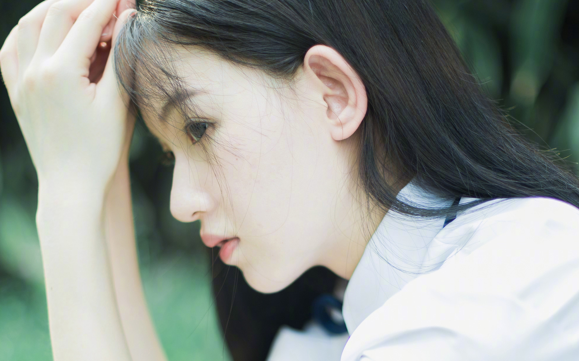 荷兰马术协会与亚洲马术协会建立合作关系,推动区域发展。,荷兰马术考级标准