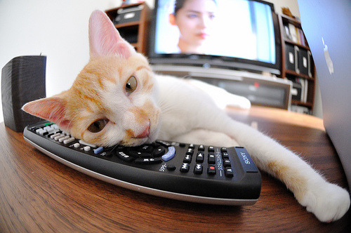 华体会app安装-新闻中心签署重要合作协议，新闻中心签署重要合作协议怎么写