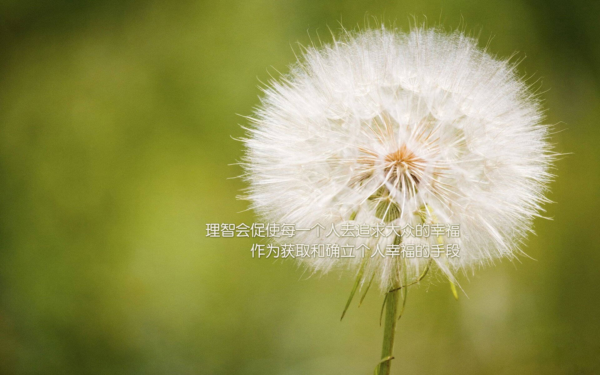 华体会hth官网-200蝶划频与划幅配合解析，划幅和划频