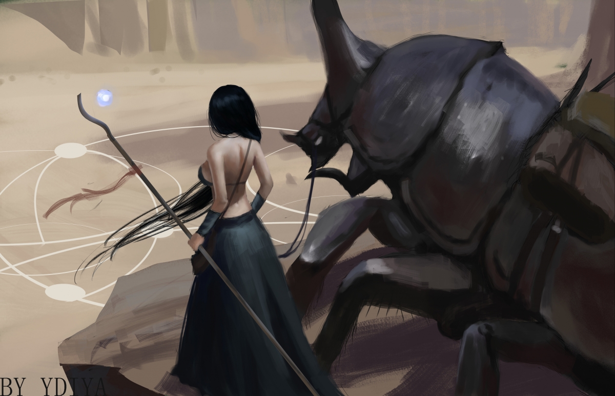 埃及赛制分析:如何通过细节设计优化运动员的竞技体验,埃及的比赛会赢吗