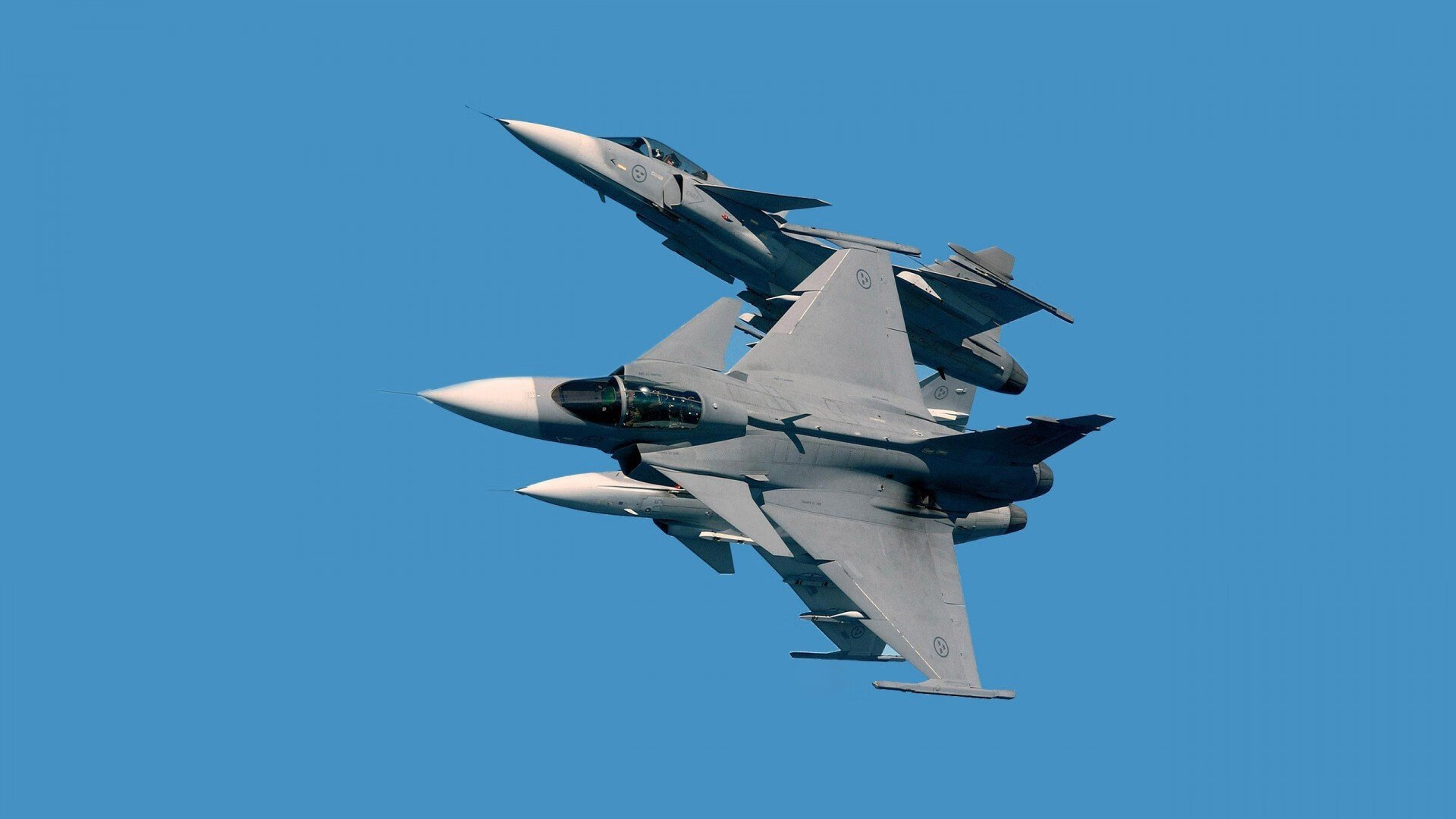 辽宁飞豹战术创新成为球队成功关键,辽宁飞豹吧 百度贴吧