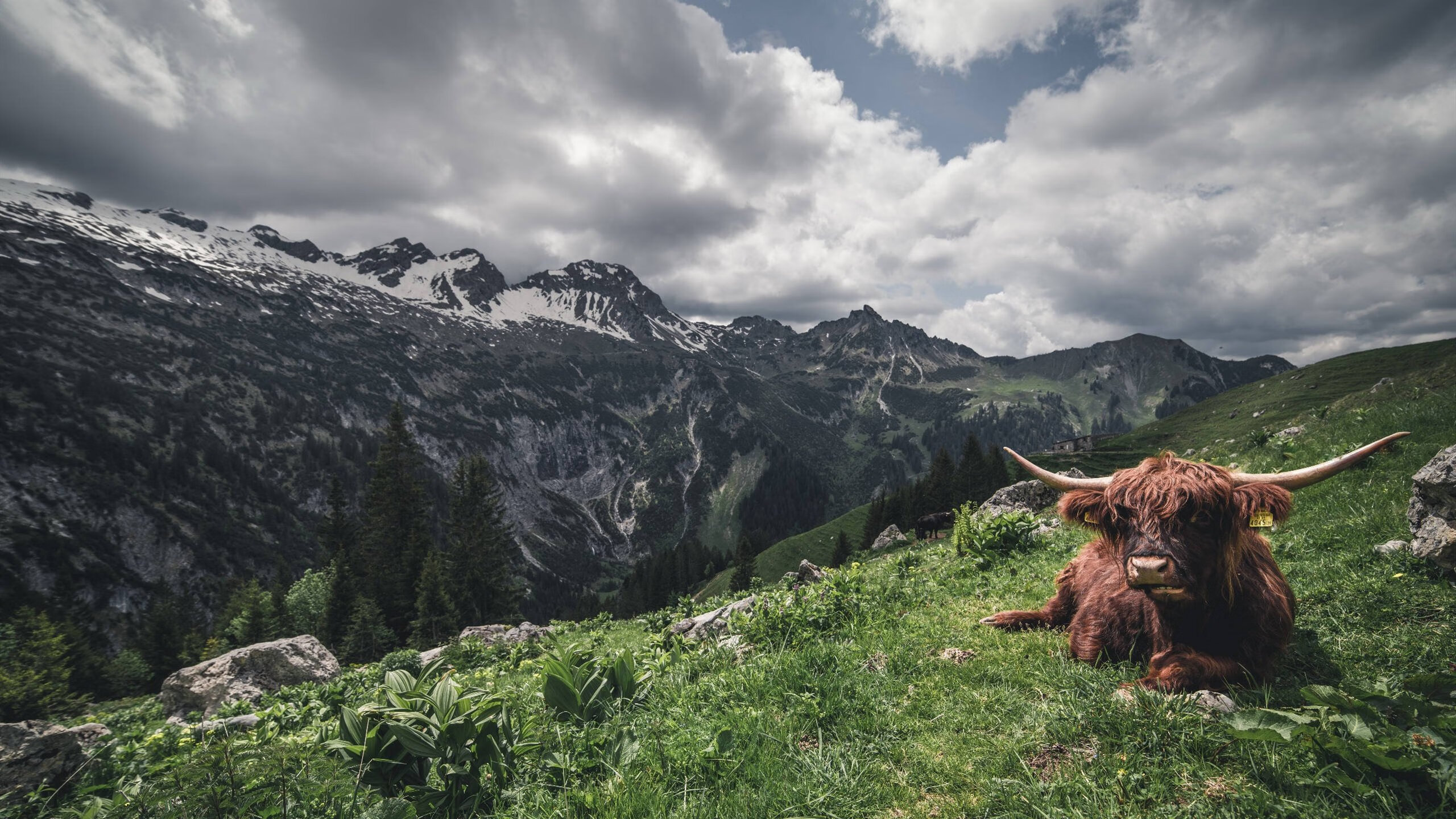 塞尔维亚男篮在欧洲预赛中奋勇冲刺,追逐奥运荣耀的梦想!,塞尔维亚男篮阵容2021