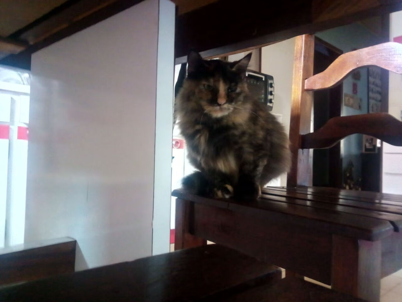 华体会hth官网-德甲速度之王：突破防线的瞬间令人震撼，德甲最快进球纪录