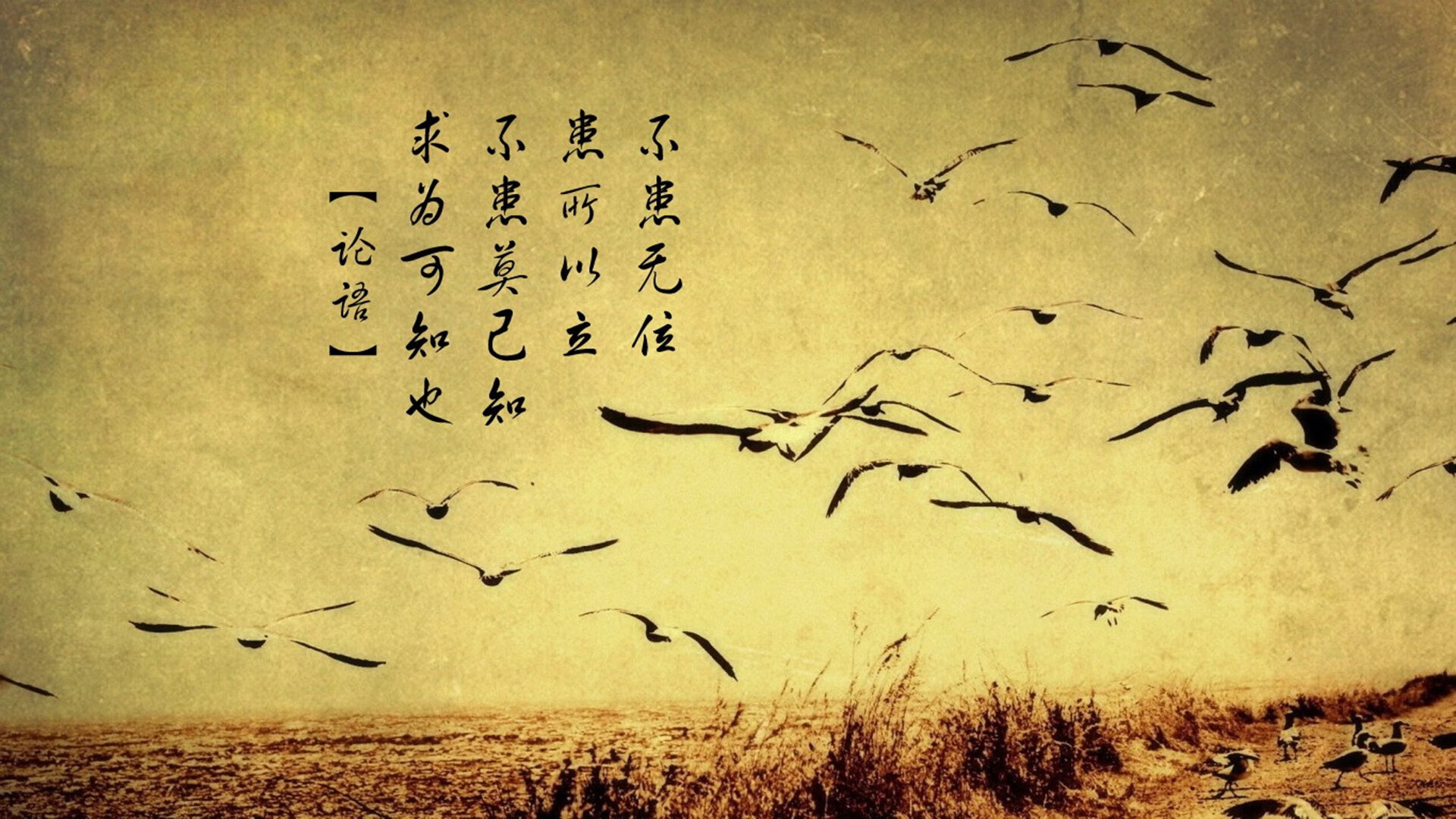 华体会app安装-球队俱乐部估值报告发布，资本市场关注俱乐部潜力，足球俱乐部价值评估排名连续八年第一的是