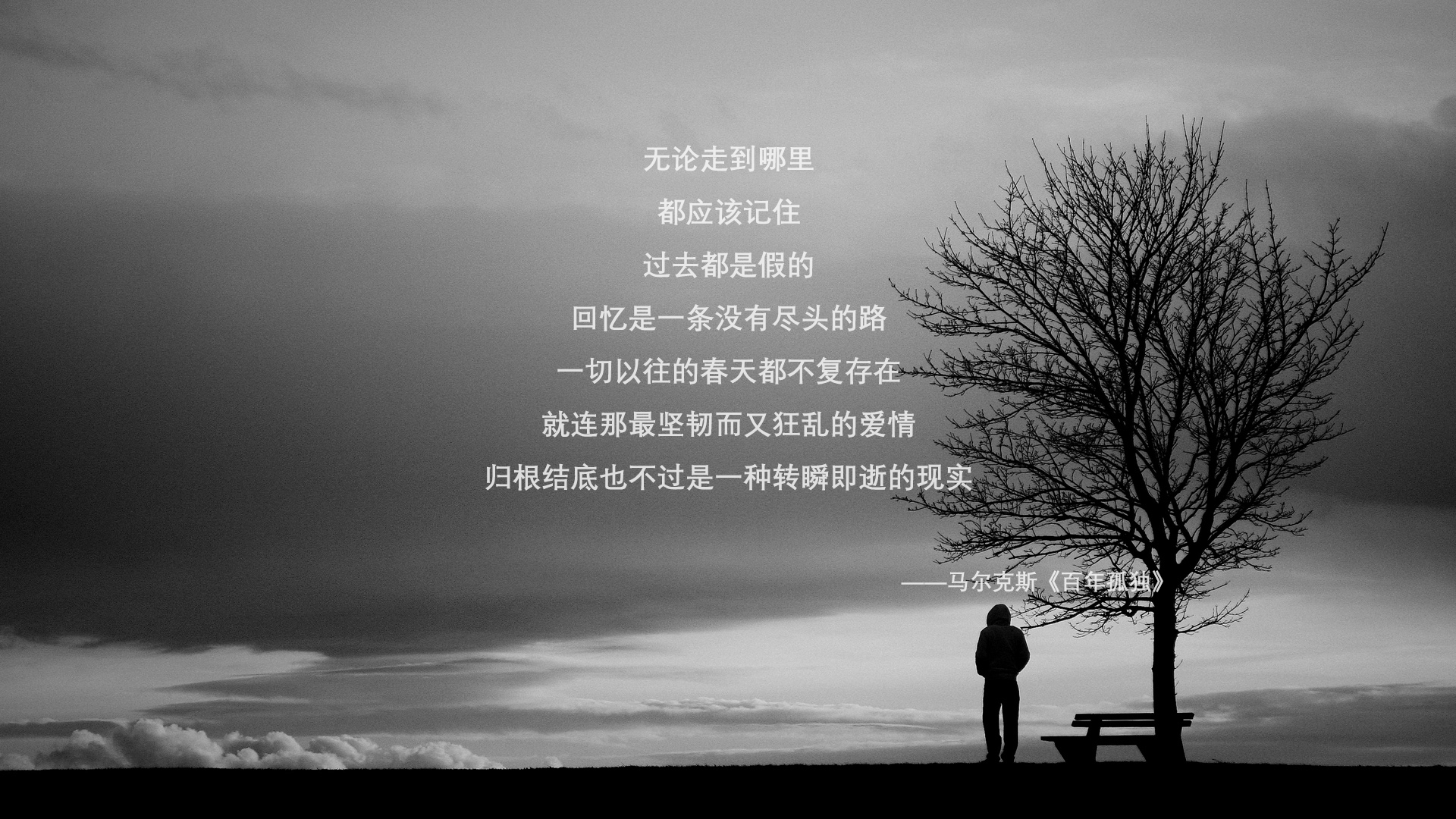 维尔·冯·威克:为南非队攻防转换提供强大支持,推动球队进攻,维尔纳冯西门子简介