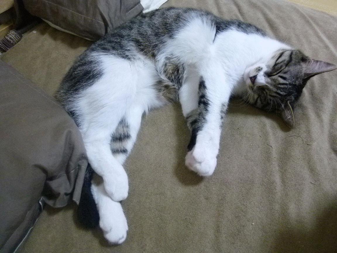 华体会app安装-马拉松赛场 挑战自我的极限运动，马拉松rq